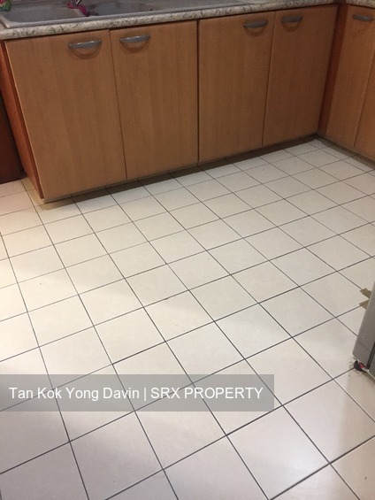 Carissa Park Condominium (D17), Condominium #177810162